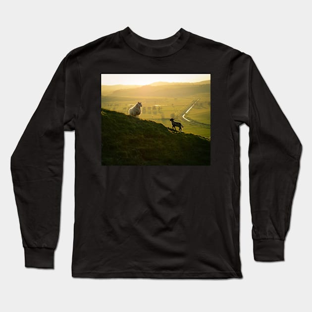 Scottish Sheep and Lamb Long Sleeve T-Shirt by mrdoomits